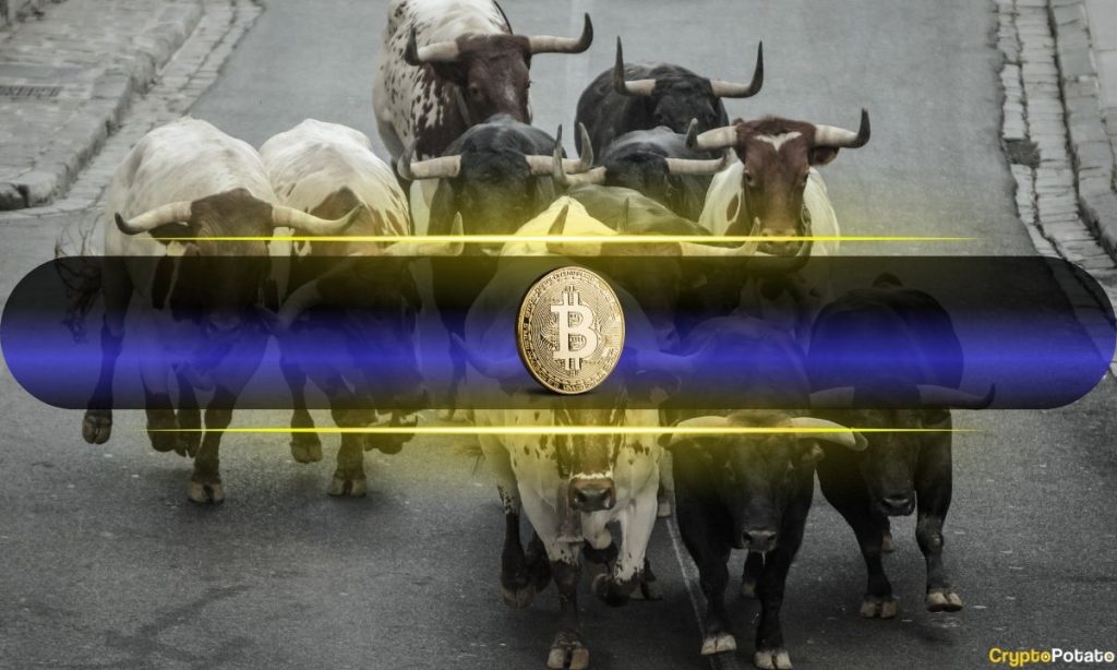 Bitcoin’s Bull Run Backed by Growing Long-Term Holders Bitcoin’s Bull Run Backed by Growing Long-Term Holders
