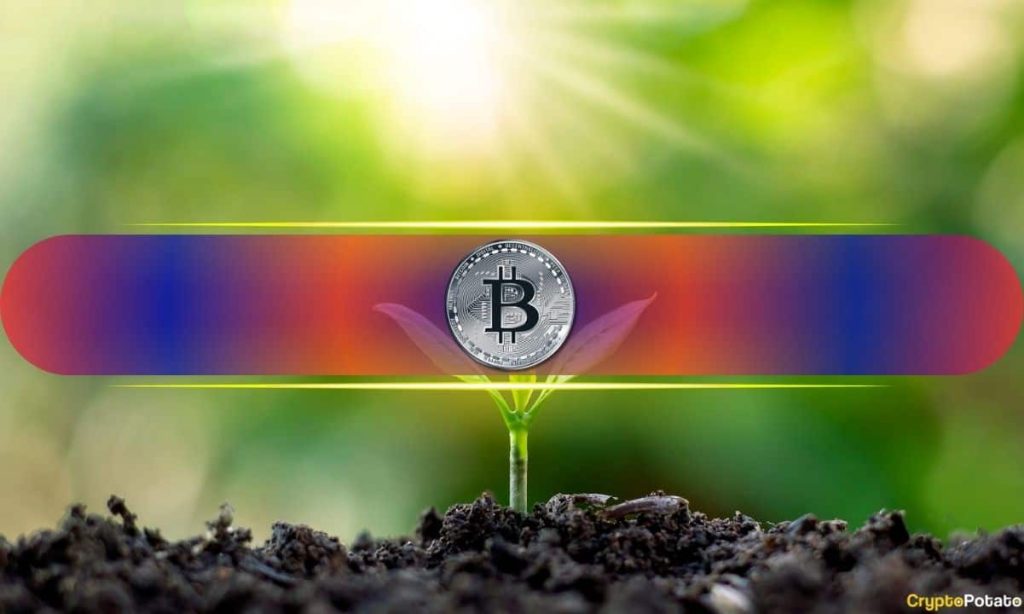 Is Bitcoin Entering a New, Cleaner Market Regime?