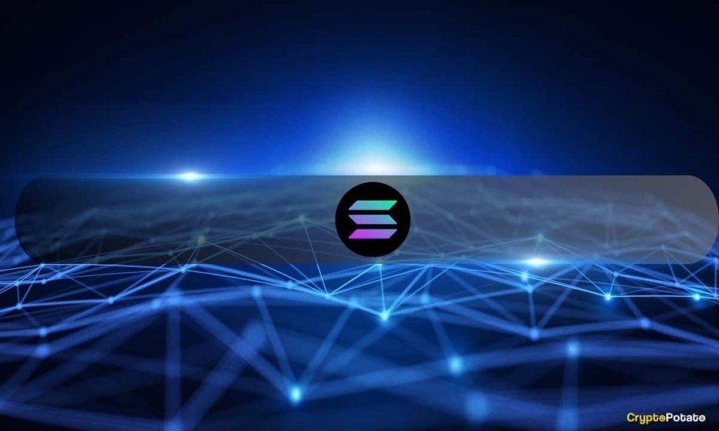 Solana Growth Signals Hope Despite Woes