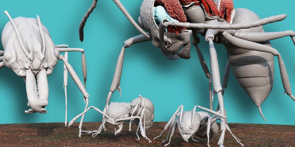 Antscan's 3D Scanning Reveals Ant Anatomy